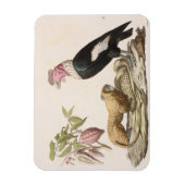 Löwenaffe und -condor, in Chile oder Ecuador gebor Magnet (Vertikal)