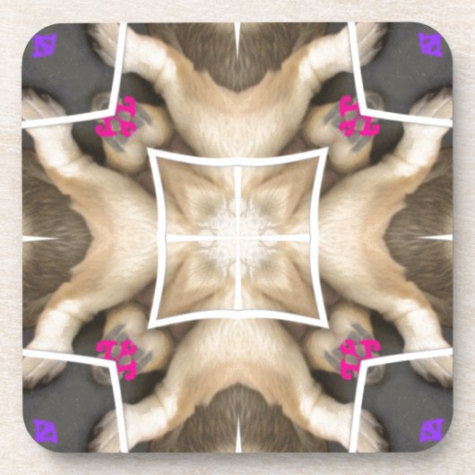 Löwenanteil Untersetzer (Vorderseite)