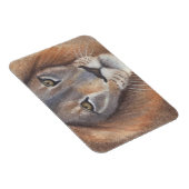 Löwenaugen Magnet (Rechte Seite)