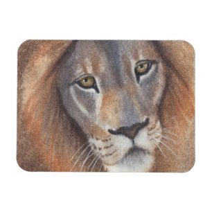 Löwenaugen Magnet