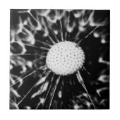 Löwenblacke Fliese (Vorderseite)