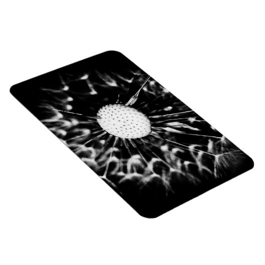 Löwenblacke Magnet (Rechte Seite)