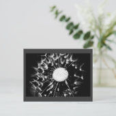 Löwenblacke Postkarte (Stehend Vorderseite)