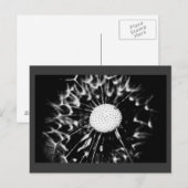 Löwenblacke Postkarte (Vorne/Hinten)