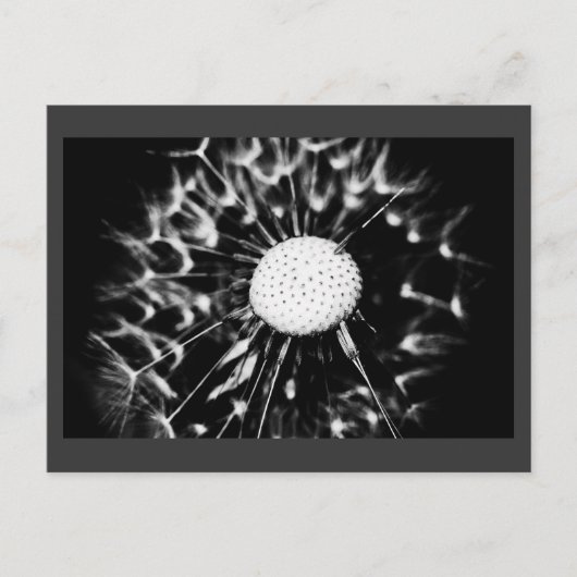 Löwenblacke Postkarte (Vorderseite)