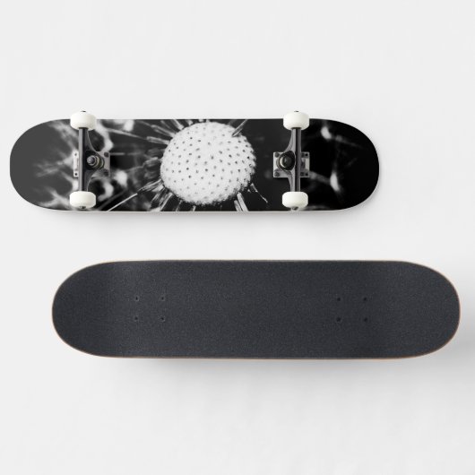 Löwenblacke Skateboard (Horizontal)