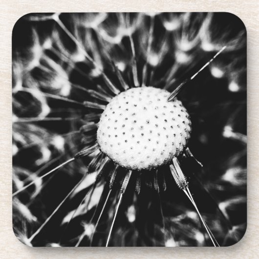 Löwenblacke Untersetzer (Vorderseite)