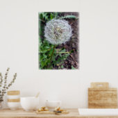 Löwenblüte Poster (Küche)