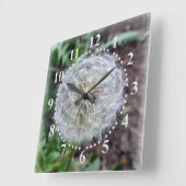 Löwenblüte Quadratische Wanduhr (Winkel)
