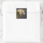 Löwenbrennen 2 quadratischer aufkleber (Tasche)