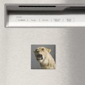 Löwenbrüllen Magnet (In Situ (Geschirrspüler))