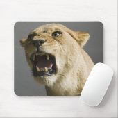 Löwenbrüllen Mousepad (Mit Mouse)