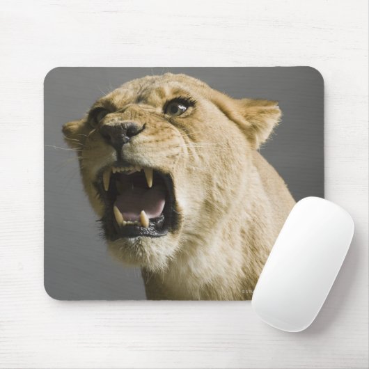 Löwenbrüllen Mousepad (Mit Mouse)