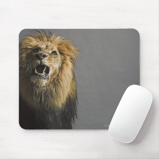 Löwenbrüten Mousepad (Mit Mouse)