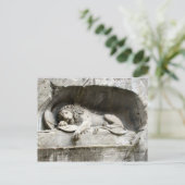 Löwendenkmal, Luzern Postkarte (Stehend Vorderseite)