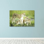 Löwenfamilie in Kenia, Afrika Leinwanddruck (Insitu (Holzboden))