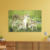 Löwenfamilie in Kenia, Afrika Leinwanddruck (Insitu (Wohnzimmer))