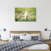 Löwenfamilie in Kenia, Afrika Leinwanddruck (Insitu (Schlafzimmer))