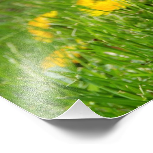 Löwenfeld Fotodruck (Ecke)