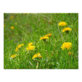 Löwenfeld Fotodruck (Vorne)