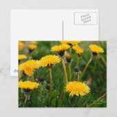 Löwenfeld Postkarte (Vorne/Hinten)