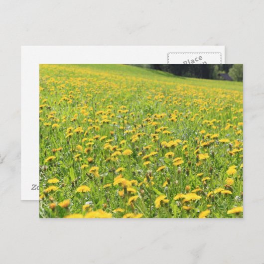 Löwenfeld Postkarte (Vorne/Hinten)