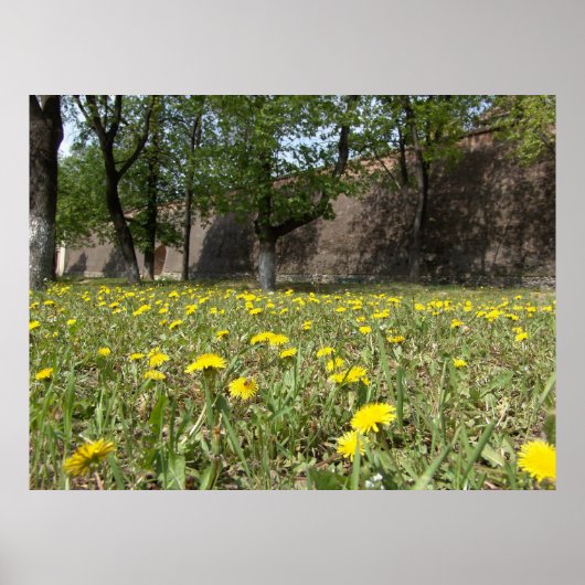 Löwenfeld unter der Stadtmauer Poster (Vorne)