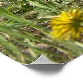 Löwenfeld unter der Stadtmauer Poster (Ecke)