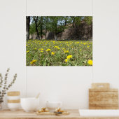 Löwenfeld unter der Stadtmauer Poster (Küche)