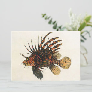 Löwenfisch Fisch, Vintage Meeresleben Tier