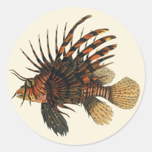 Löwenfisch Fisch, Vintage Meeresleben Tier Runder Aufkleber