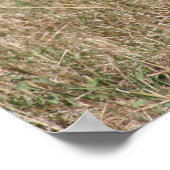 Löwenflansch Poster (Ecke)