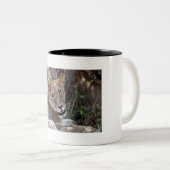 Löwenfront Zweifarbige Tasse (VorderseiteRechts)