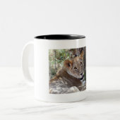 Löwenfront Zweifarbige Tasse (Vorderseite Links)