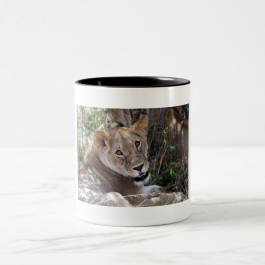 Löwenfront Zweifarbige Tasse (Mittel)