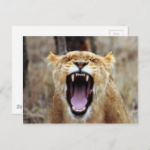 Löwengähne Postkarte (Vorne/Hinten)