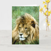 LöwenGeburtstagskarte Karte (Gelbe Blume)