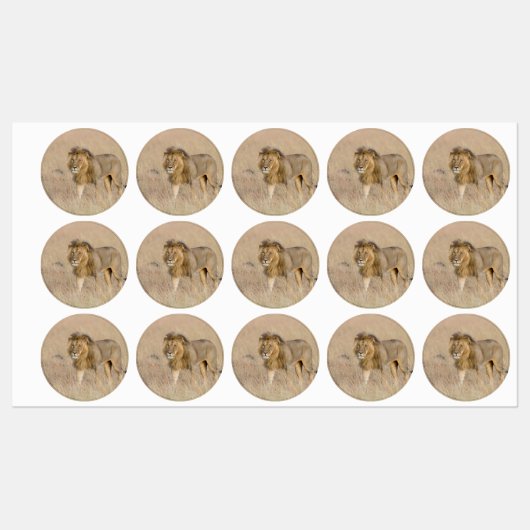 Löwengehen Etiketten (Blatt)