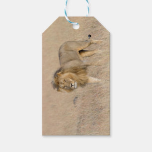 Löwengehen Geschenkanhänger