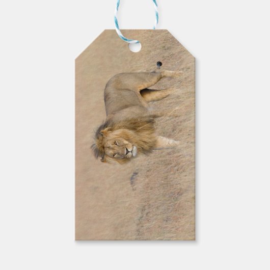 Löwengehen Geschenkanhänger (Vorderseite)