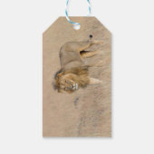 Löwengehen Geschenkanhänger (Rückseite)