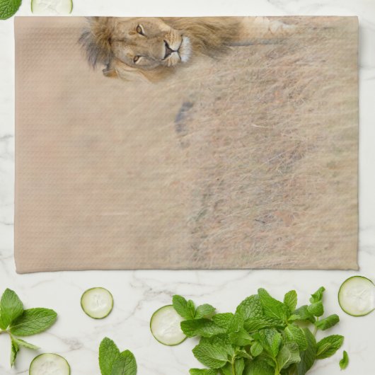 Löwengehen Geschirrtuch (Gefaltet)