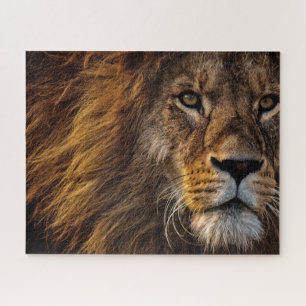 Löwengesicht Nahaufnahme Foto Puzzle