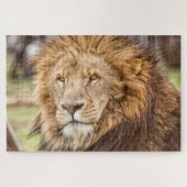 Löwengesichtsrätsel groß puzzle (Horizontal)