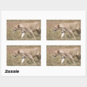 Löwenhengst Rechteckiger Aufkleber (Blatt)