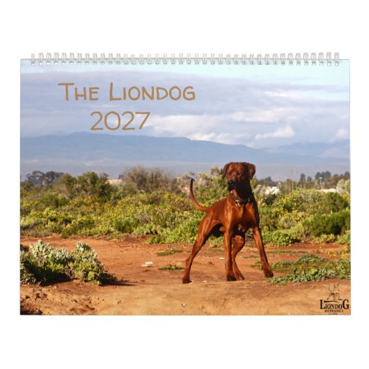 Löwenhund - Rhodesian Ridgeback Kalender 2027 (Titelbild)