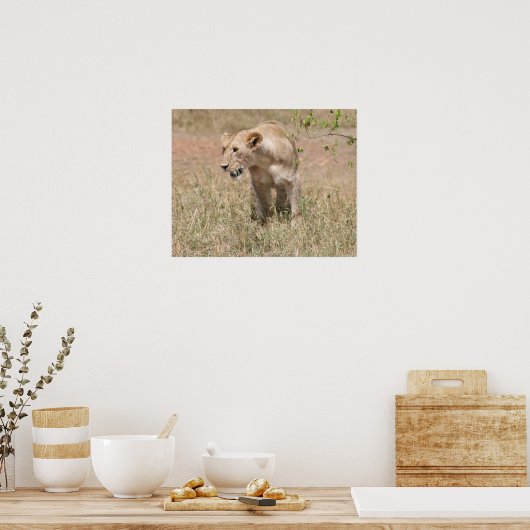 Löwenjagd Poster (Küche)
