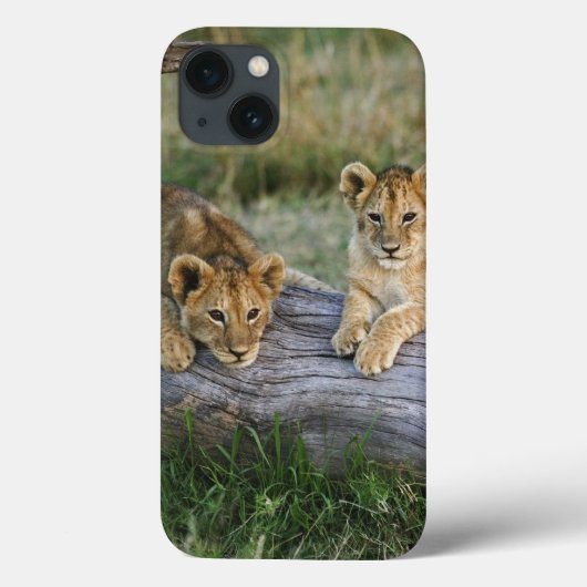 Löwenjunge auf Baumstamm Case-Mate iPhone Hülle (Rückseite)