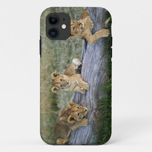 Löwenjunge auf Baumstamm Case-Mate iPhone Hülle (Rückseite)