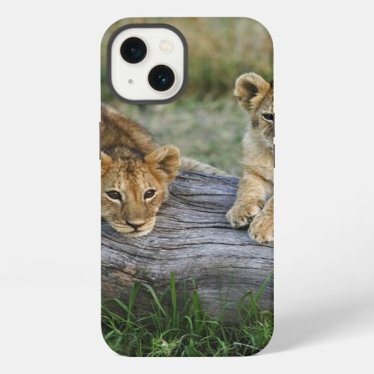 Löwenjunge auf Baumstamm iPhone Hülle (Rückseite)